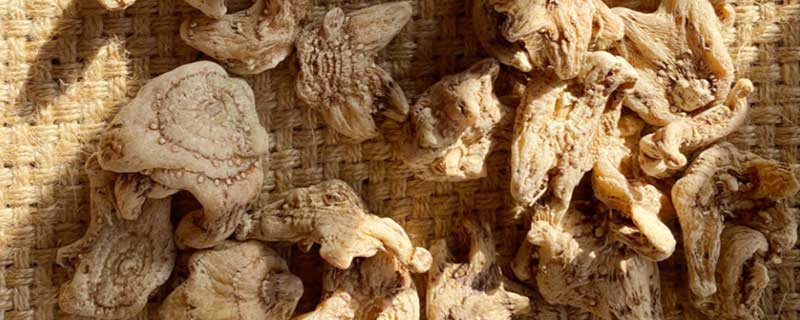 ��ܸ�Ĺ�Ч������ ��ܸͼƬ